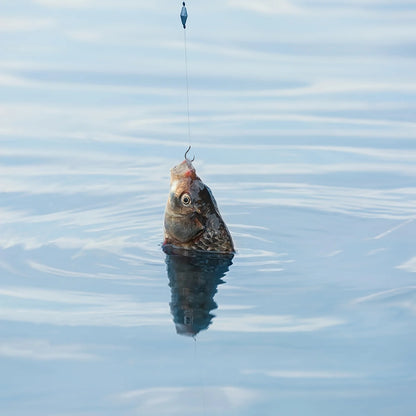 SteelHook Pro — Cârlige Crap din Oțel, Anti-Coroziune, 50 buc